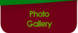 Photo Gallery