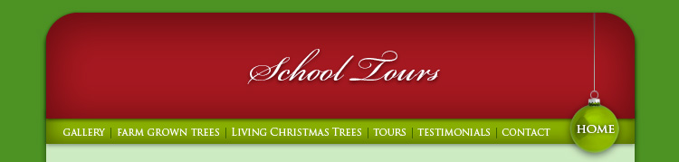 School Tours