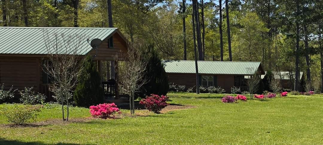 cabin